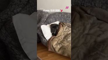 Киев без тепла и света после атак России