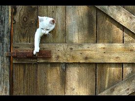 Видеоурок Обряд перехода Часть I