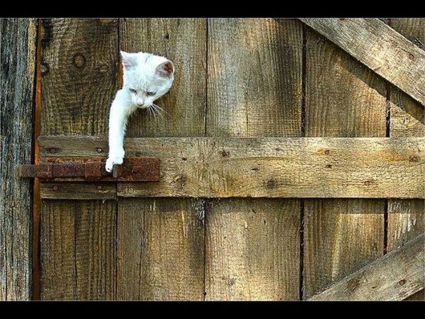 Видеоурок Обряд перехода Часть I