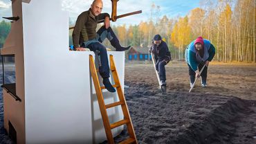 Воры проветрили дом, мы реставрируем его и наполняем жизнью. Грибы в ноябре. Сокращаем стадо в зиму.