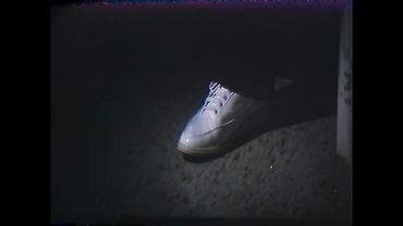 台湾猫片 催情功