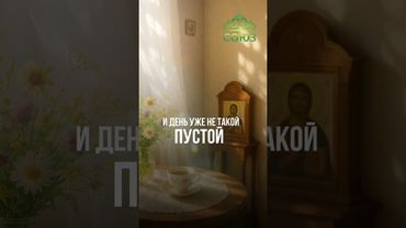 Совет дня: начни утро не с телефона, а с благодарности.