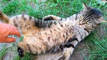 #Славянск. 15 августа 2025г. Вечер.