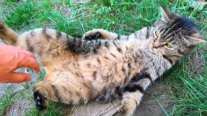 #Славянск. 15 августа 2025г. Вечер.