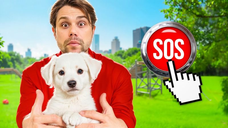 УКРАЛИ МОЮ СОБАКУ ! Преследуем ПОХИТИТЕЛЯ в реальной жизни !