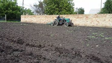 самодельный трактор мерседес, культивация пара