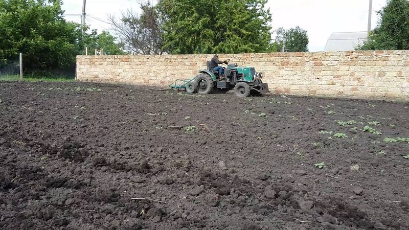 самодельный трактор мерседес, культивация пара