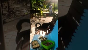 Москва, как ещё одна традиция наша - пикник на природе ☕️