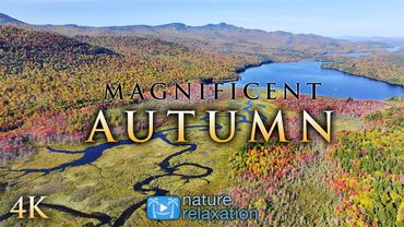 Magnificent Autumn - 2HR 4K Drone Film from America's NE + Piano Music