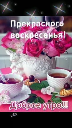 #Прекрасного воскресенья!#Доброе утро!#Отличного настроения на весь д...