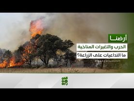 وكيل وزارة الزراعة: ظروف الحرب والتغيرات المناخية انعكست سلباً على القطاع الزراعي في اليمن | أرضنا