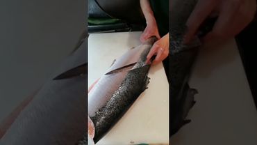Правильная и эффективная разделка лосося.