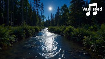 Vaelissed - Fading Light (Official Music Video)