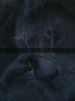 #мудрость #цитатысосмыслом #мудрыеслова #сосмыслом #сильныеслова #фра...