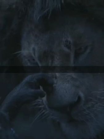 #мудрость #цитатысосмыслом #мудрыеслова #сосмыслом #сильныеслова #фра...