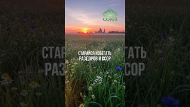 Совет дня - Ищи мира