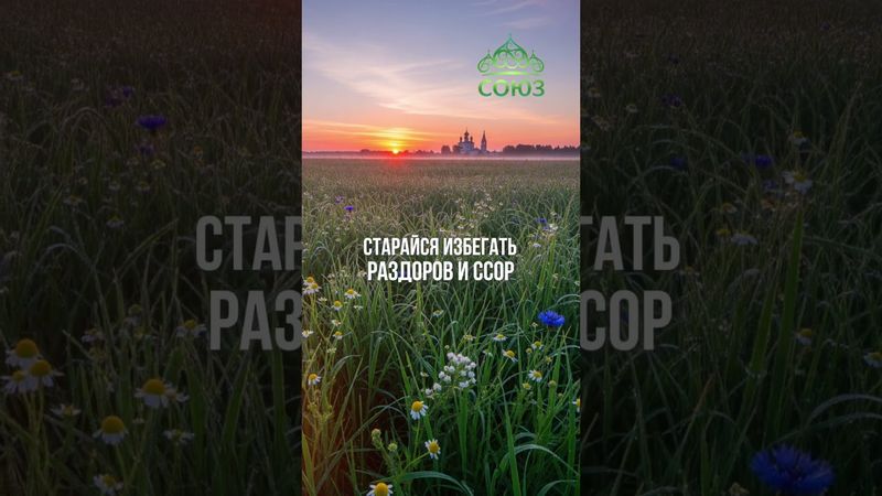 Совет дня - Ищи мира