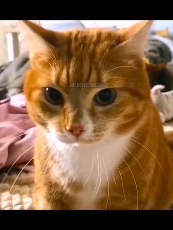 и долго вы,у него живете?