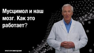 Как это работает? Мусцимол и наш мозг.