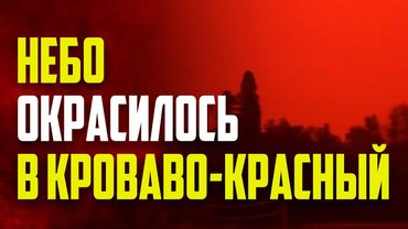 Дым от лесных пожаров окрасил небо над Канадой в апокалиптический красный цвет