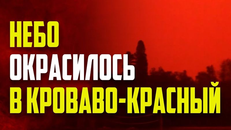 Дым от лесных пожаров окрасил небо над Канадой в апокалиптический красный цвет