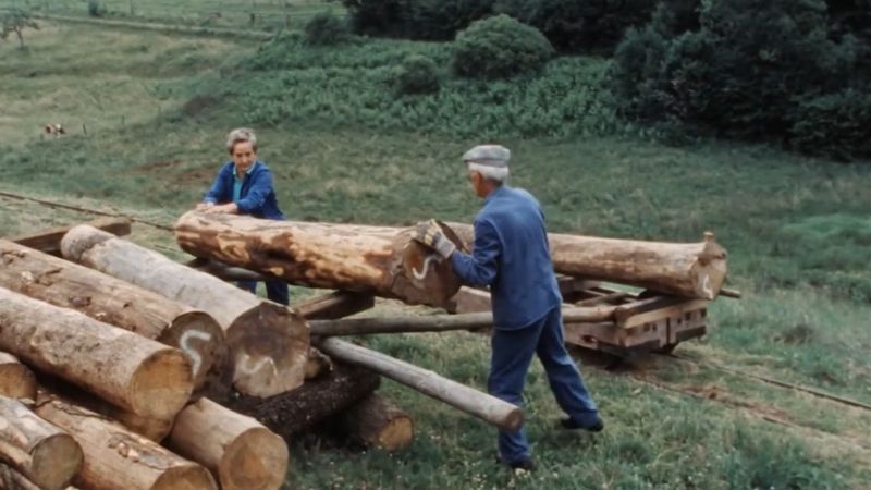 Historic Water Powered Sawmill in Operation (1968)