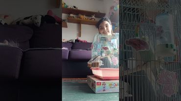 Escribid en los comentarios que mas pruebas les hacemos :)