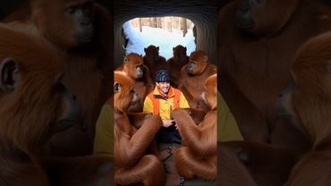 Нарезка топ стримера не здесь , а здесь Воронцов) #нейрокотспб #Воронцолог