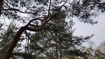 Как работа искажает нашу жизнь и представление о ней