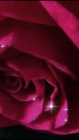 С добрым утром！💞💜💞