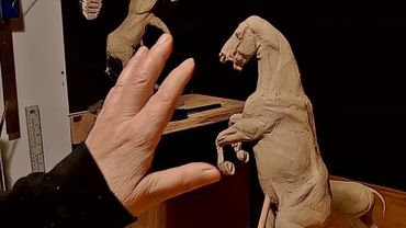 BATTLING FOR DOMINANCE   Working on the Right Side of the Neck and Horse's Head