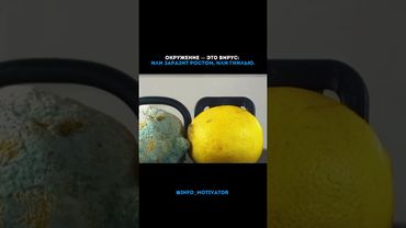 Люди рядом формируют твою жизнь — выбирай их мудро.