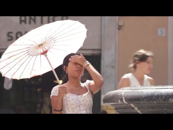 В Италии женщину обило деревом во время грозы