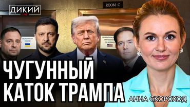 УДАСТСЯ ЛИ ДОГОВОРИТЬСЯ? АННА СКОРОХОД ДЛЯ ДИКИЙ LIVE