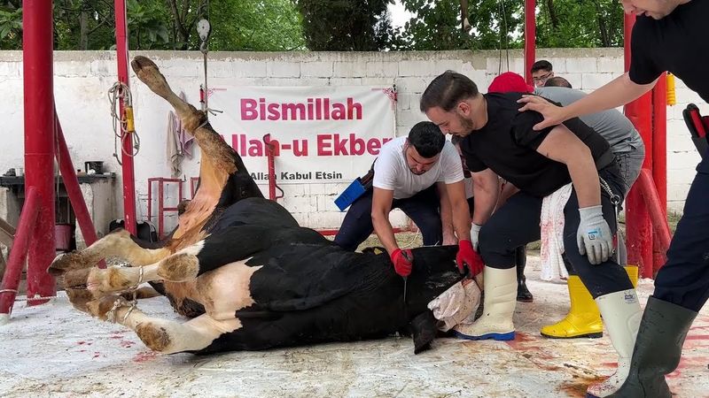 KURBAN KESİMLERİ 2025