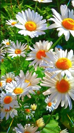 #12июня#деньроссии#