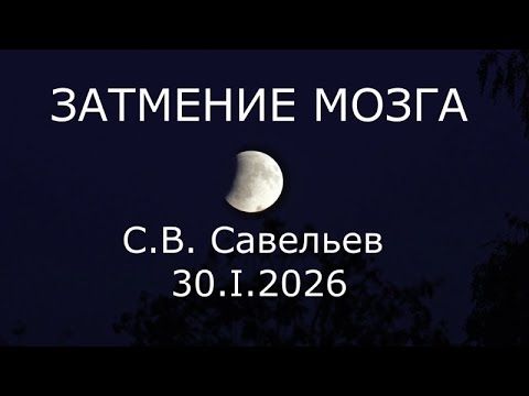 С.В. Савельев - Затмение мозга