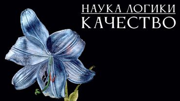 НАУКА ЛОГИКИ 07: Качество