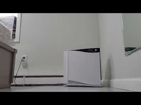 S5E50 ASMR HEEL SHORTS