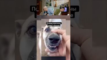 ПОПРОБУЙ НЕ ЗАСМЕЯТЬСЯ! 🤣😅 #shorts #tiktok #Reels  #смехсводой #нельзясмеяться