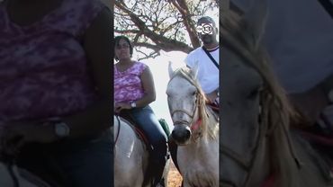 Good Grief: Series explores loss through eyes of bereaved, from personal stories to a path forward