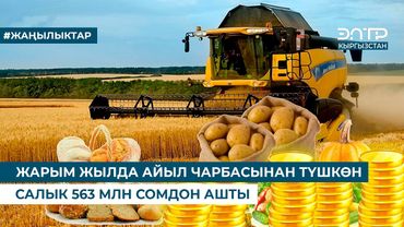 ЖАРЫМ ЖЫЛДА АЙЫЛ ЧАРБАСЫНАН ТҮШКӨН САЛЫК 563 МЛН СОМДОН АШТЫ