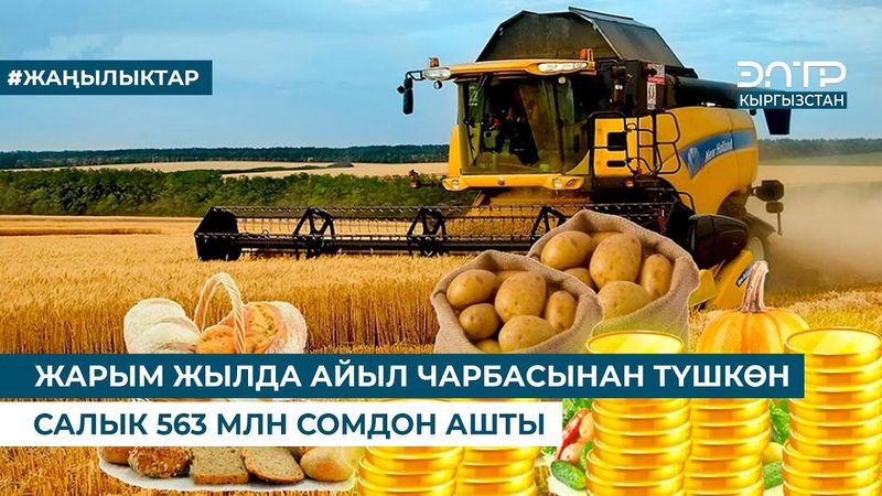 ЖАРЫМ ЖЫЛДА АЙЫЛ ЧАРБАСЫНАН ТҮШКӨН САЛЫК 563 МЛН СОМДОН АШТЫ