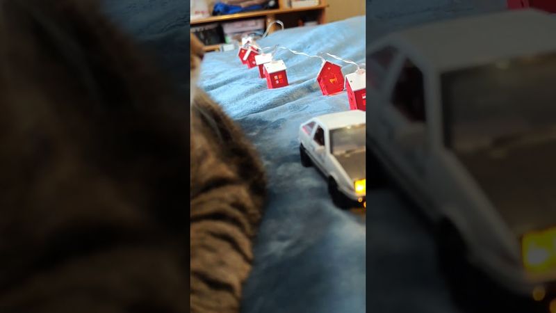 Не роскошь 🚗🙀🤔🤣 #cat #кот #юмор #котушка #приколы #цитаты