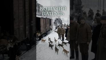 ♥️ Хвостатые герои блокадного Ленинграда — животные, которые помогали городу выжить