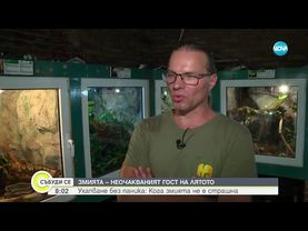 Змии в града: Какво трябва да знаем и кога няма място за паника