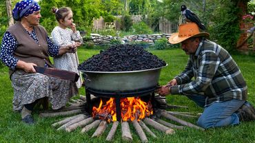 Von der Ernte bis zur Lagerung: Maulbeeren für den Winter Haltbar Machen