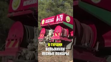 В Турции бушуют сильные лестные пожары