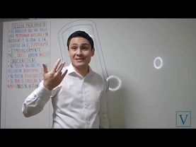 TEMA 8 - CÉLULA PROCARIOTA