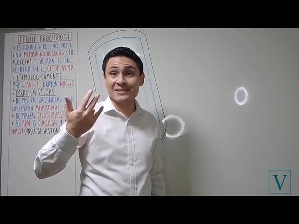 TEMA 8 - CÉLULA PROCARIOTA